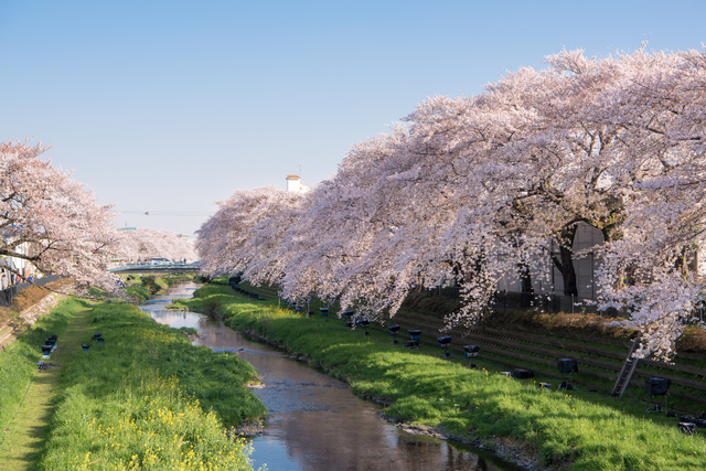 東京都調布市