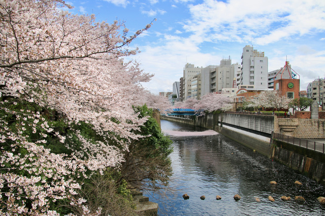 東京都目黒区