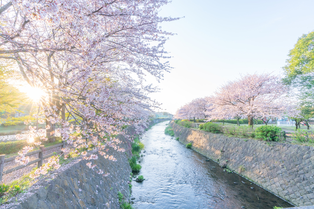 神奈川県綾瀬市