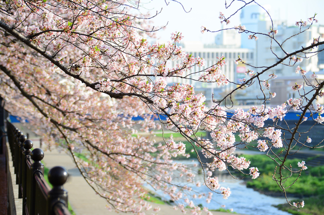 横浜市戸塚区