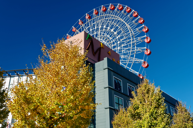 神奈川県横浜市港北区