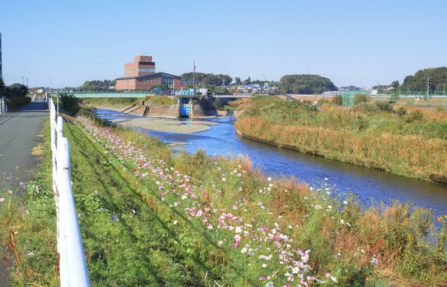 神奈川県横浜市泉区