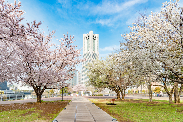 神奈川県横浜市中区