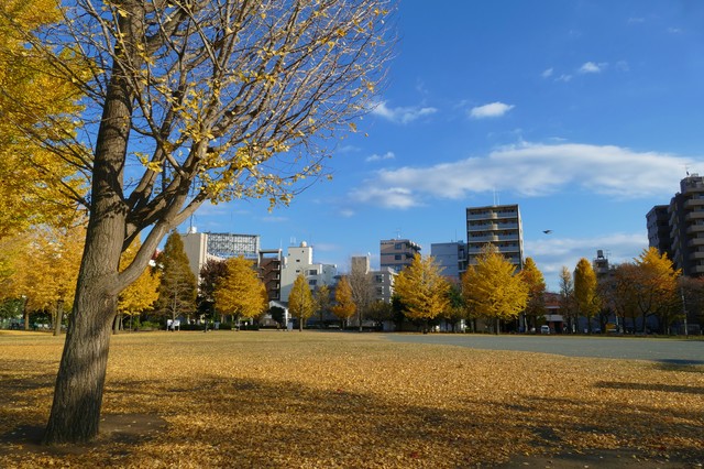 神奈川県横浜市南区