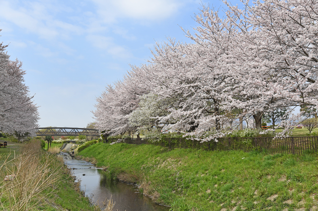 神奈川県海老名市