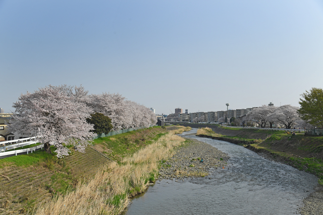 神奈川県厚木市