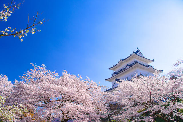 神奈川県小田原市