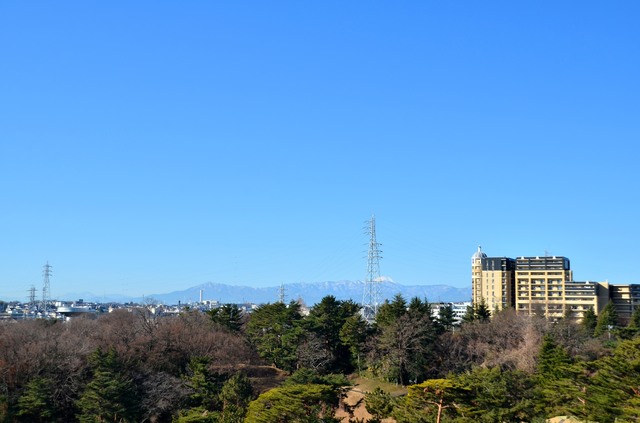 神奈川県川崎市多摩区