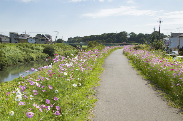 埼玉県富士見市