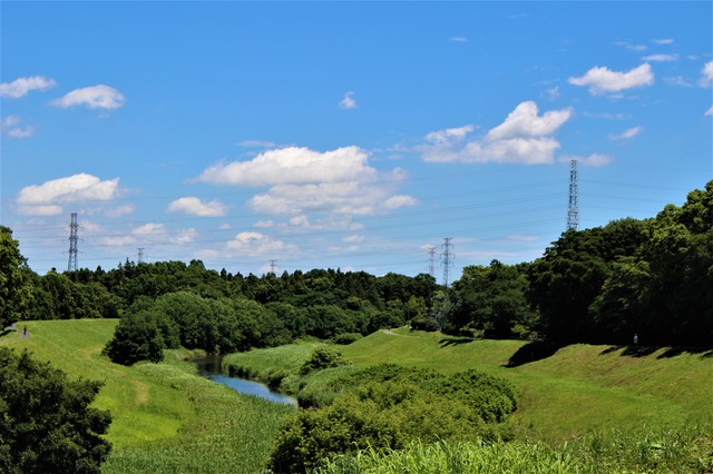 千葉県野田市