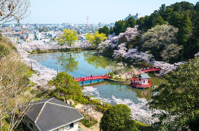 千葉県茂原市