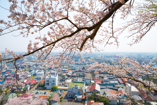 千葉県東金市