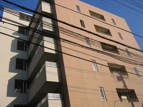 (外観) (外観)