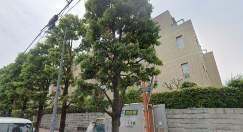 (外観) (外観)