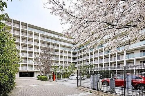 (外観) (外観)