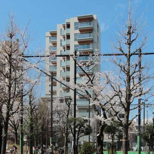 プレミスト代々木公園パークフロント (外観)イメージ