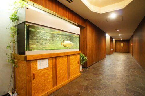 ウッドヴィル麻布内廊下 (内装)イメージ ウッドヴィル麻布内廊下 (内装)イメージ