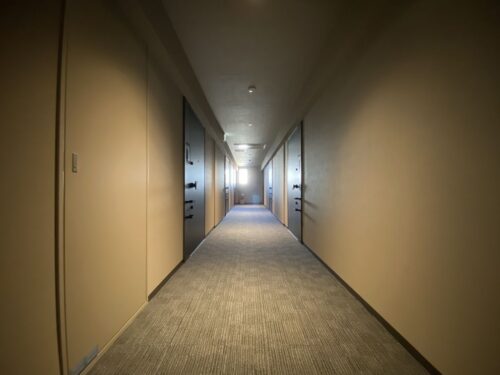 グランリビオ芝大門内廊下 (内装)イメージ