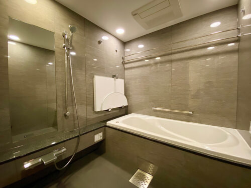 グランリビオ芝大門 (風呂)イメージ