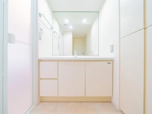 ザ・タワー芝浦イメージ