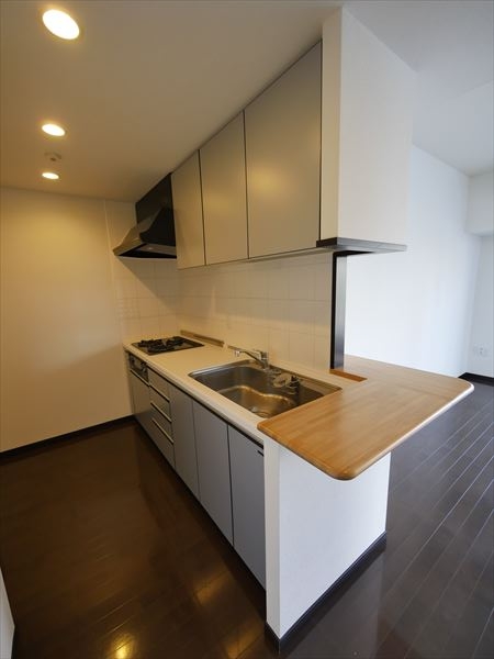 品川タワーフェイス (キッチン)イメージ 品川タワーフェイス (キッチン)イメージ