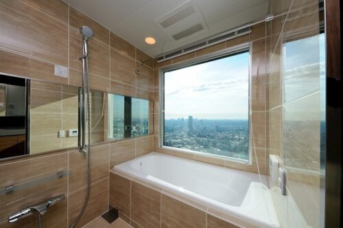 ラ・トゥール青葉台 (風呂)イメージ