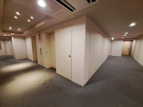 マイタワーレジデンス内廊下 (内装)イメージ