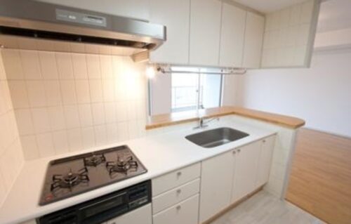 アクアシティ芝浦 (キッチン)イメージ アクアシティ芝浦 (キッチン)イメージ