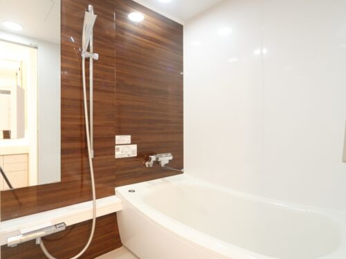 アクアシティ芝浦 (風呂)イメージ アクアシティ芝浦 (風呂)イメージ