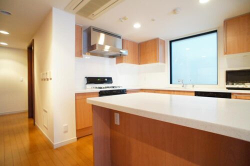 広尾グランドヒルズ (キッチン)イメージ