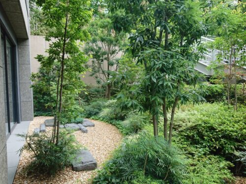 パークコート赤坂桜坂イメージ