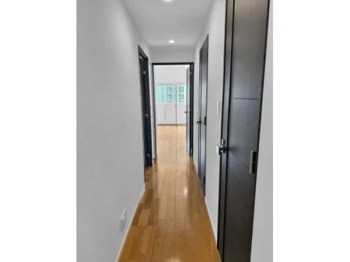 アデニウム新橋廊下イメージ アデニウム新橋廊下イメージ