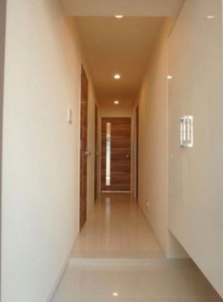 アデニウム新橋 (玄関)イメージ アデニウム新橋 (玄関)イメージ