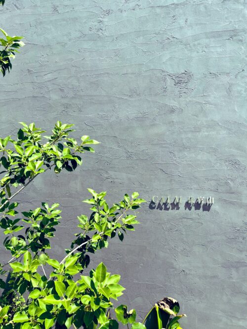 CALM代官山 (外観)イメージ