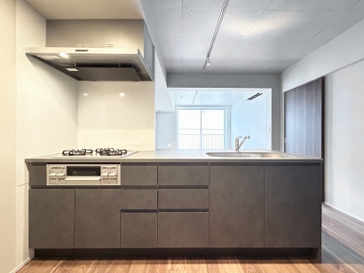 グランデュオ荻窪2 (キッチン)イメージ グランデュオ荻窪2 (キッチン)イメージ