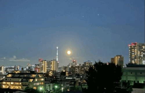 ディアナコート小石川竹早眺望イメージ