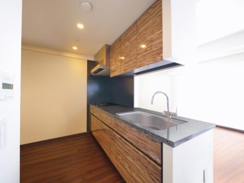 ウェリス上野池之端 (キッチン)イメージ