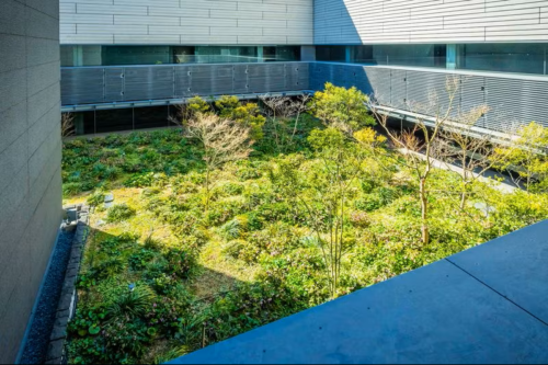 エル・セレーノ元赤坂レジデンスイメージ