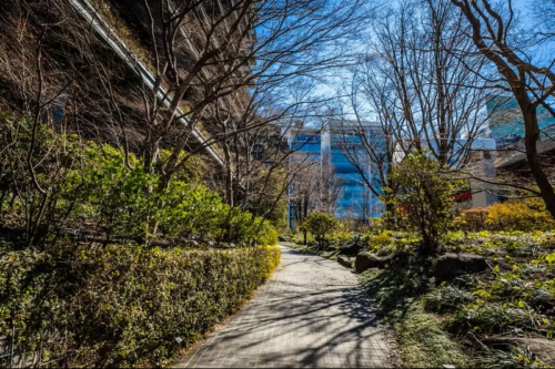 エル・セレーノ元赤坂レジデンス外庭イメージ