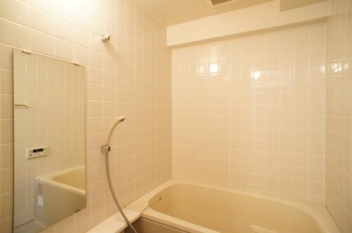 レジディア六本木檜町公園 (風呂)イメージ