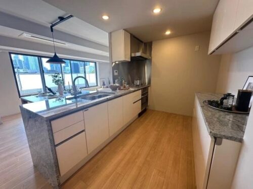 ブランズ渋谷常盤松 (キッチン)イメージ ブランズ渋谷常盤松 (キッチン)イメージ