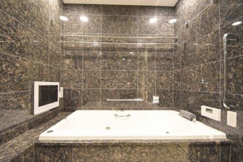 フォレセーヌ赤坂檜坂 (風呂)イメージ