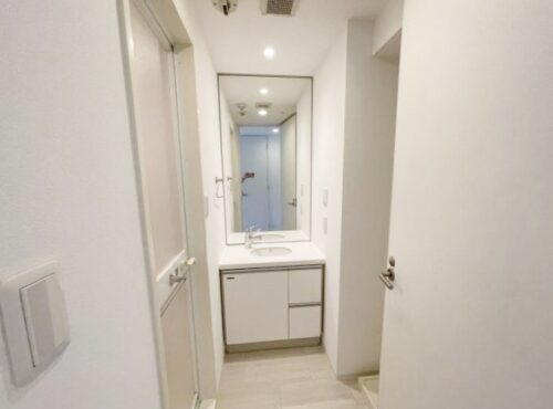 ジ・オーブ・ルミナス（旧：デュープレックス銀座タワー7/10）イメージ