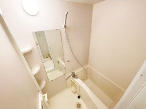 ジ・オーブ・ルミナス（旧：デュープレックス銀座タワー7/10） (風呂)イメージ