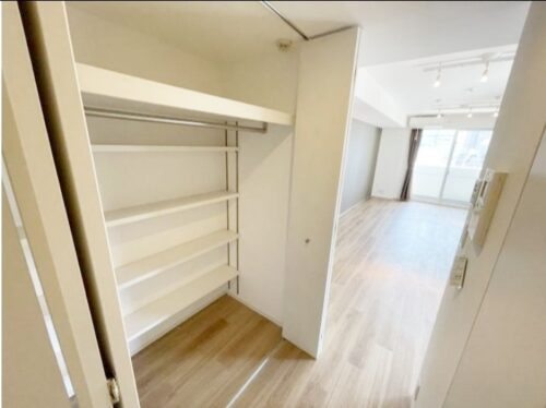 ジ・オーブ・ルミナス（旧：デュープレックス銀座タワー7/10）イメージ