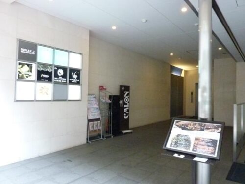 ジ・オーブ・ルミナス（旧：デュープレックス銀座タワー7/10） (内装)イメージ