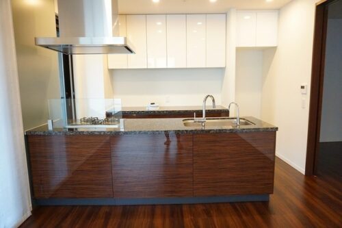 グランドメゾン白金の杜ザ・タワー (キッチン)イメージ