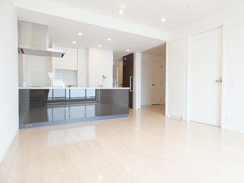 グランドメゾン白金の杜ザ・タワー (居間)イメージ