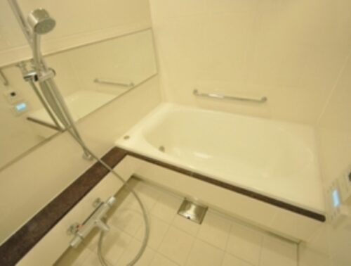 ブランズ六本木 (風呂)イメージ