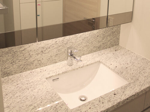 ザ・パークハウス白金イメージ